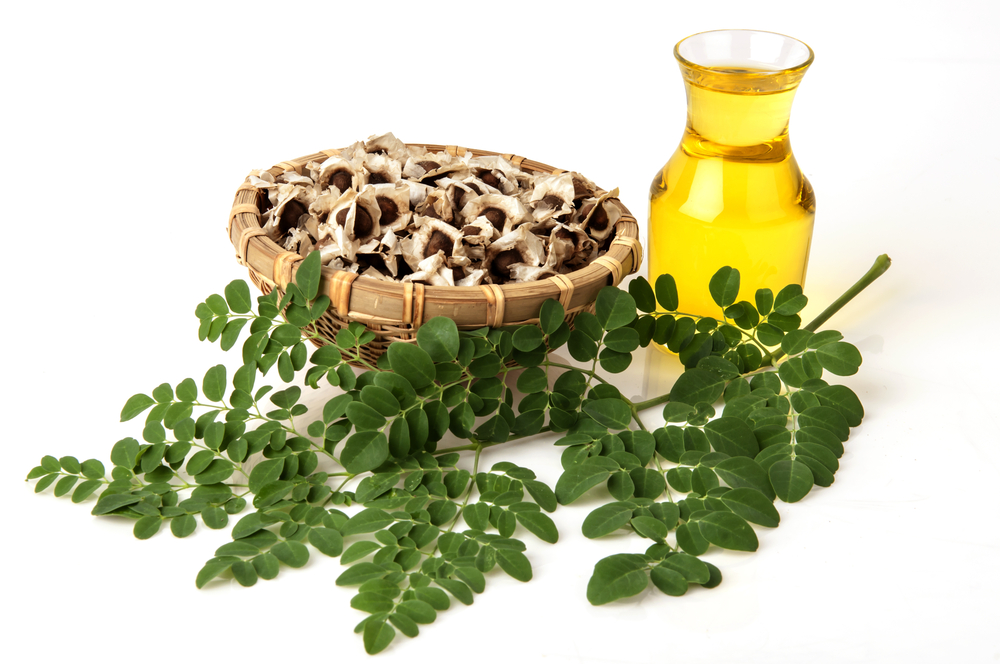 DẦU CHÙM NGÂY -  MORINGA OIL